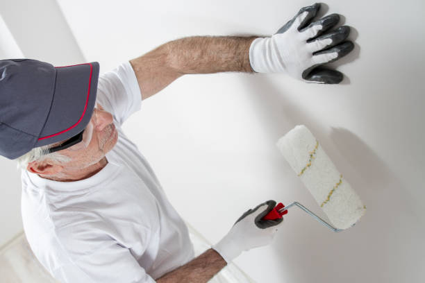 Best Black Mold Removal  in USA